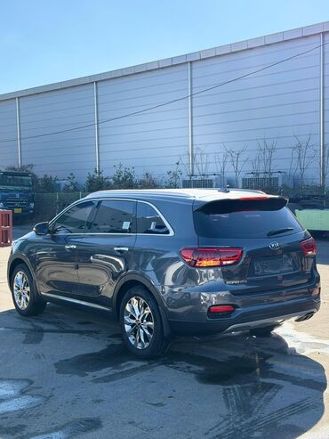 Kia: Kia Sorento: 2019 г., 2.2 л, Автомат, Дизель, Кроссовер — 3