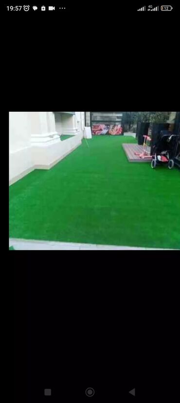 Toxumlar: Qazon çatrlma qurasdrma torf gubresi dermanlanmasi agaclarin ekini — 21