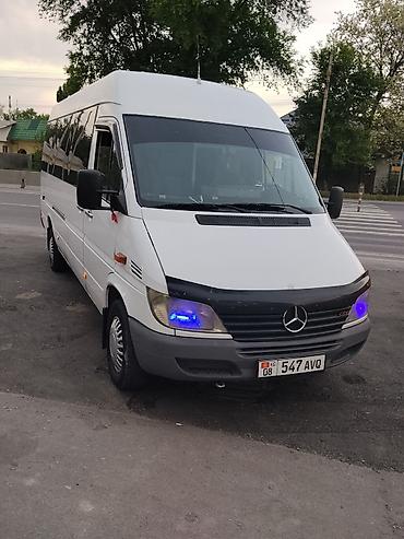 кочкор авто: Баруучу жер: Теплоключенка, Орундардын саны: 18, Лицензия №: 08B005001 — 3