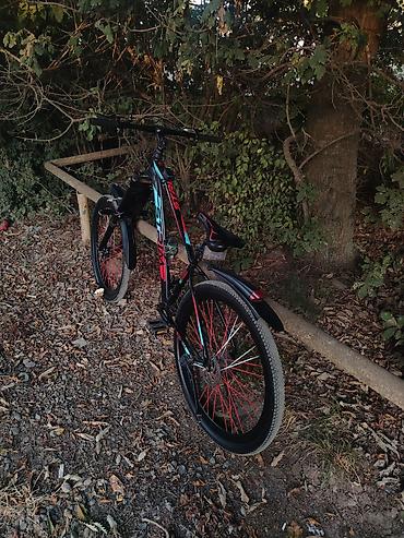 dağ motrsikleti: Elektrikli velosiped – şəhər və yüngül off-road üçün tam təchizatlı - — 2