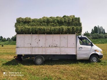 где можно купить телят симментальской породы: Клевер чистый 2 Кост плотный 
С доставкой
300 сом