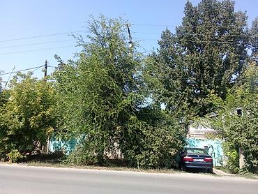 Продажа коттеджей и домов: Продается 2 дома на одной территории. Размер участка 6.5 соток at lalafo.kg — 2 Продажа коттеджей и домов: Продается 2 дома на одной территории. Размер участка 6.5 соток — 2
