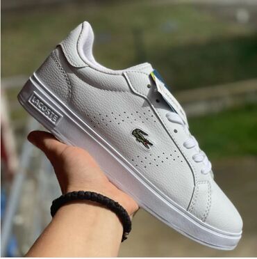 patike lacoste: Trainers