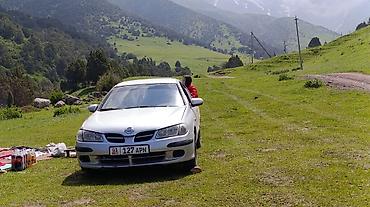 argb controller: Nissan Almera: 2001 г., 1.5 л, Механика, Бензин, Хэтчбэк — 3