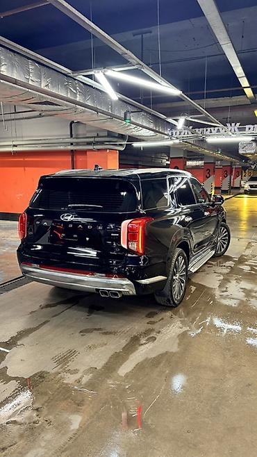 горный: Hyundai Palisade: 2022 г., 2.2 л, Автомат, Дизель, Кроссовер — 6