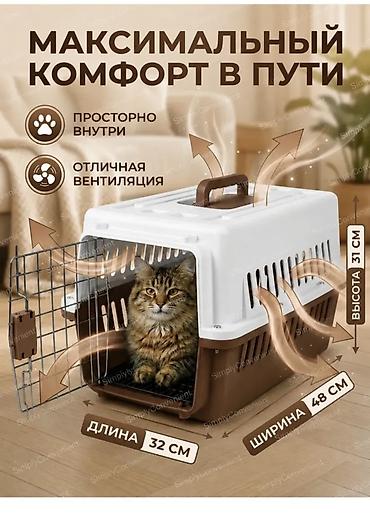 ппревозки собак: Переноски для животных (разные размеры) - Жесткие пластиковые боксы — 7