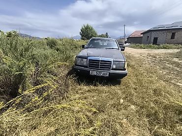 мер 124: Mercedes-Benz W124: 1988 г., Газ, Седан — 4