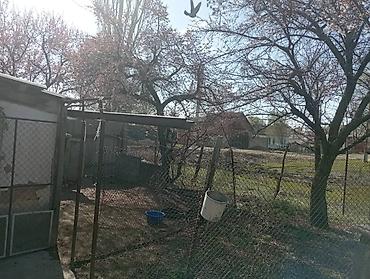 Продажа коттеджей и домов: Продажа коттеджей и домов — 8