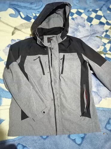 куртки деми: Куртка 3XL (EU 46), 4XL (EU 48), цвет - Серый