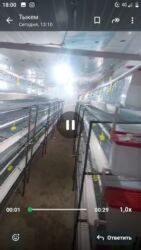 оборудование для корма: Многоярусные клеточные батареи для содержания птицы