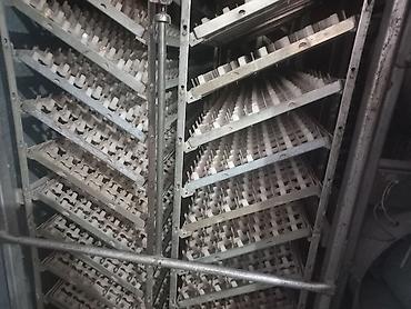 Инкубаторы: Промышленный инкубаторный комплекс для птицеводства. - Камерный — 5