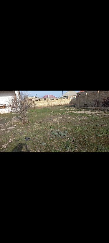 ev və bağ: Həyət evi və torpaq sahəsi - Tək mərtəbəli daş ev, geniş eyvanlı - — 3