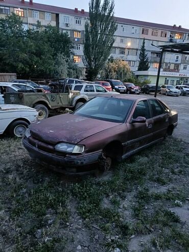 Digər kuzov detalları: Renault Safrane, 1994 il, İşlənmiş