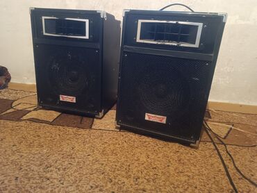 акустические системы 1.0 с сабвуфером: Пара акустических колонок Concert (паспортные шильдики на передней