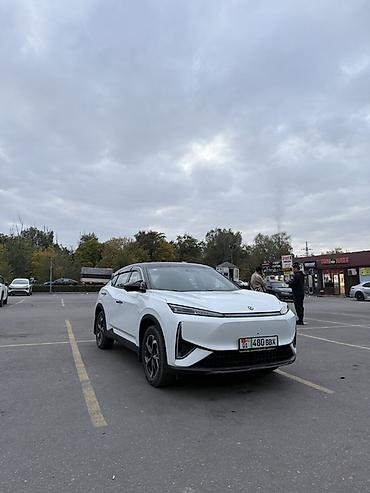 Dongfeng: Dongfeng : 2026 г., Электромобиль, Кроссовер — 2