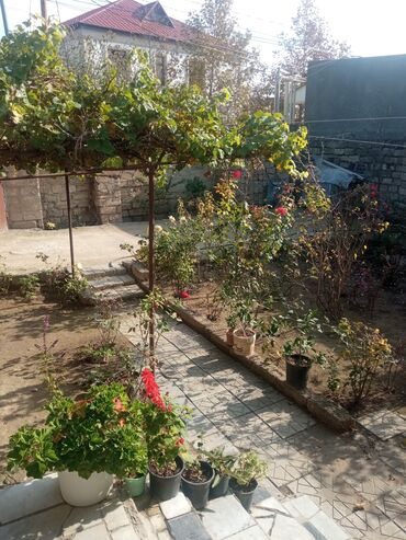 Otaqların uzunmüddətli kirayəsi: Satilr: geniş və işıqlı otaq.2 otaq 1 zal metbex hamam ayaq yolu — 23