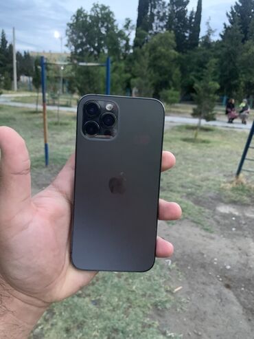 Apple iPhone: IPhone 12 Pro, Graphite, Face ID