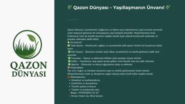 гул дасталар: 🌿 Qazon Dünyası – Yaşıllaşmanın Ünvanı! 🌿 Qazon Dünyası