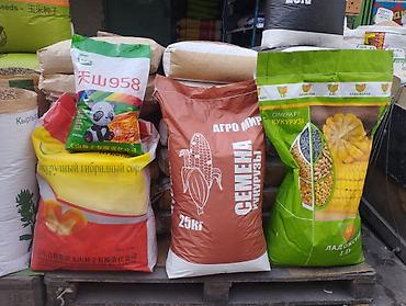 Кукуруза: Сапаттуу жугору уруктар 🌽🌽🌽келишим баада тазалыгына жана чыгышына — 3