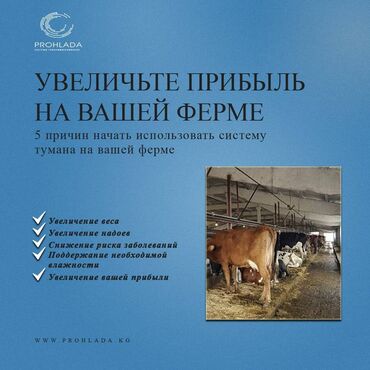 жугору корм: 🌟 Увеличьте прибыль на вашей ферме с системой туманообразования! 🌟