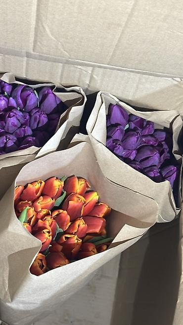 Букеты из живых цветов: Тюльпаны, срезка в крафт-упаковке. - Ассортимент оттенков — 9