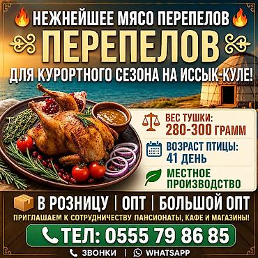 тушки кур: Перепелиные тушки оптом и большим овтом, есть сертификат местное — 1