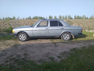 Mercedes-Benz: Mercedes-Benz 230: 1982 г., 2.4 л, Механика, Дизель, Седан