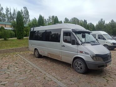 Mercedes-Benz: Mercedes-Benz Спринтер: 2003 г., 2.9 л, Механика, Дизель, Бус