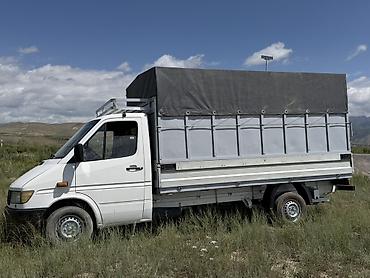 транс: Легкий грузовик, Mercedes-Benz, Стандарт, 2 т, Б/у — 1