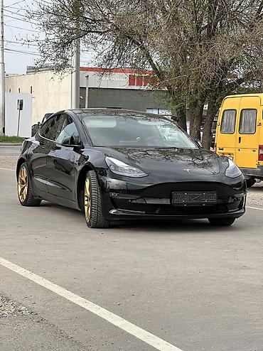 byd e6: Tesla Model Y: 2023 г., 5.5 л, Автомат, Электромобиль, Седан — 2