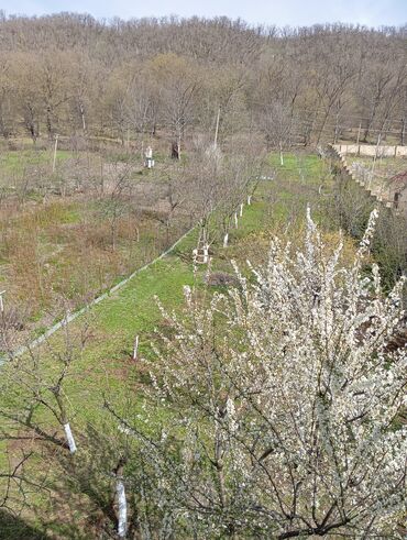 Günlük kirayə evlər: 80 kv. m, 3 otaqlı, Qaz, İşıq, Su -da lalafo.az — 21 Günlük kirayə evlər: 80 kv. m, 3 otaqlı, Qaz, İşıq, Su — 21