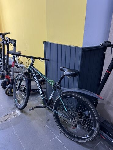CD, DVD disklər və kassetlər: Dağ velosipedi Adidas, 26"