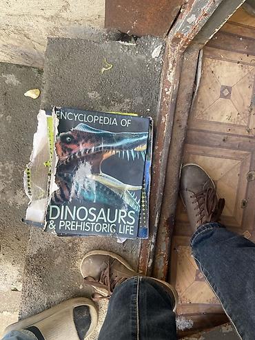 canta satışı: Məhsul: “Encyclopedia of Dinosaurs & Prehistoric Life” – — 2