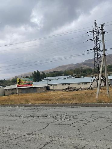 Лошади, кони: Продаю | Кобыла (самка), Конь (самец), Жеребец | На забой | Мерин — 9