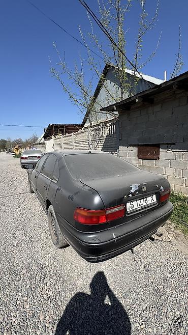 Honda: Honda Accord: 1995 г. — 6