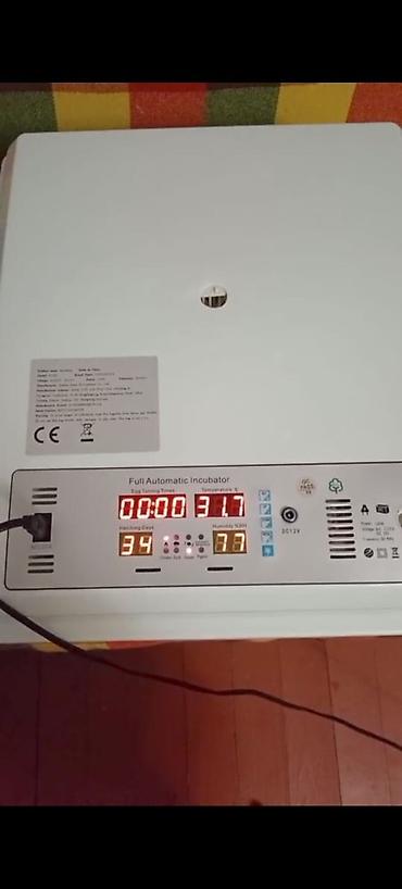 Tam avtomatik inkubator – rəqəmsal idarəetmə paneli ilə
