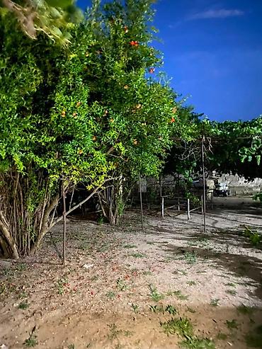 Həyət evləri və villaların satışı: 🏡 Satılır – 16 sot həyət evi 📍 Ünvan: Köhnə Suraxanı ✅ Həyətdə -da lalafo.az — 12 Həyət evləri və villaların satışı: 🏡 Satılır – 16 sot həyət evi 📍 Ünvan: Köhnə Suraxanı ✅ Həyətdə — 12