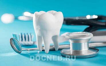 работа балыкчи: Стоматолог. Аренда места