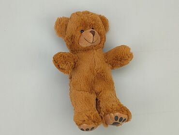 astratex pl stroje kąpielowe: Mascot Teddy bear, condition - Very good