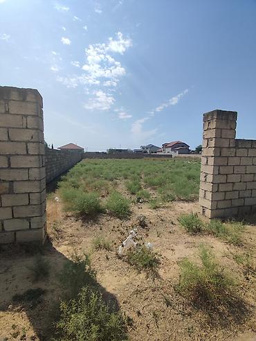 Torpaq: 5 sot, Kənd təsərrüfatı, Mülkiyyətçi, Bələdiyyə — 6