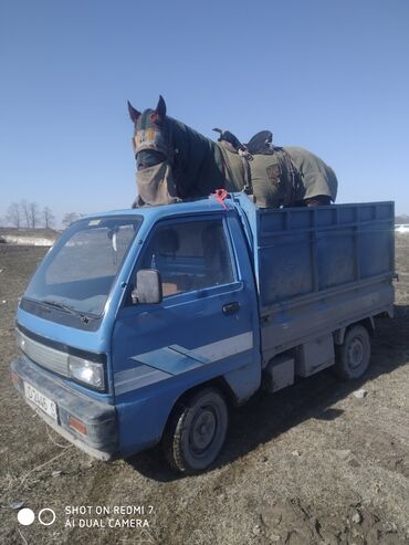 Другие услуги: Такси лаба