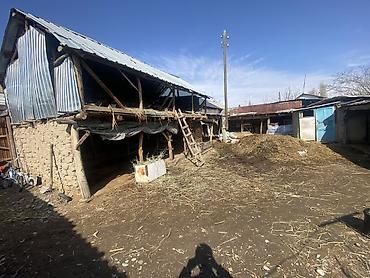 Двери для домов и квартир: Базар-Коргон — Саветиский Суу-башы 2 8,9 сотых крмната 10 комнаты — 11