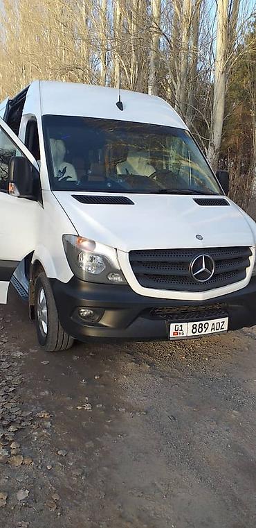 Пассажирский бус на заказ: Премиальный микроавтобус (переоборудованный салон) для комфортных — 6