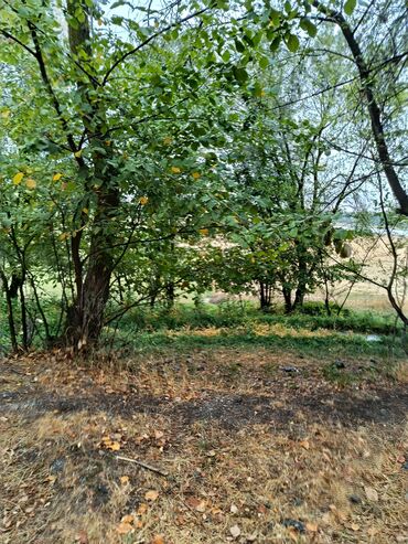 Продажа участков: 72 соток, Для сельского хозяйства, Договор купли-продажи — 13