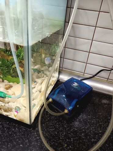 Akvariumlar: Tam komplekt akvarium seti - Şüşə akvarium, üst qapaqlı - Daxili — 3