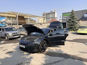 Zeekr: Zeekr 001: | 2023 г — 17