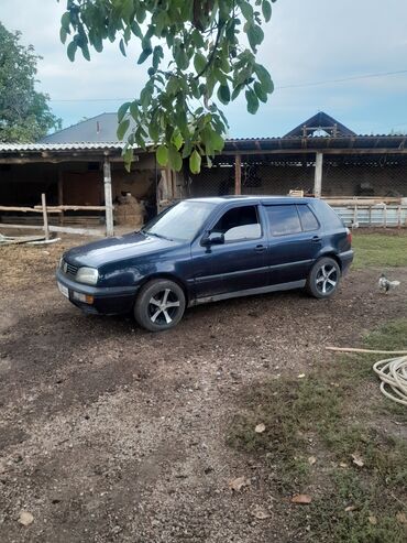 машина гольф 4: Volkswagen Golf: 1992 г., 1.8 л, Механика, Бензин, Седан
