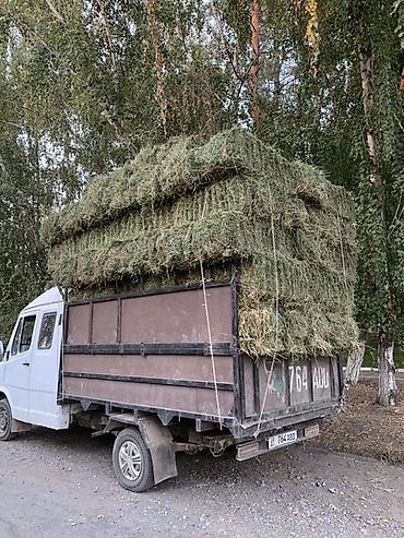 коврик на панель: Грузовик, Дубль, 3 т, Б/у — 6