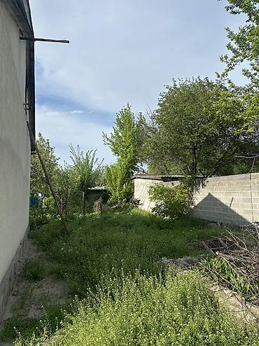 rent room: Срочно ❗️❗️❗️ 🏡 Продаётся дом с участком 8 соток | 5 ГЭС, с. Дачное ✨ — 9