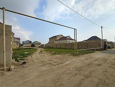 kend ehmedli: 4 sot, Kənd təsərrüfatı, Mülkiyyətçi, Kupça (Çıxarış) — 1